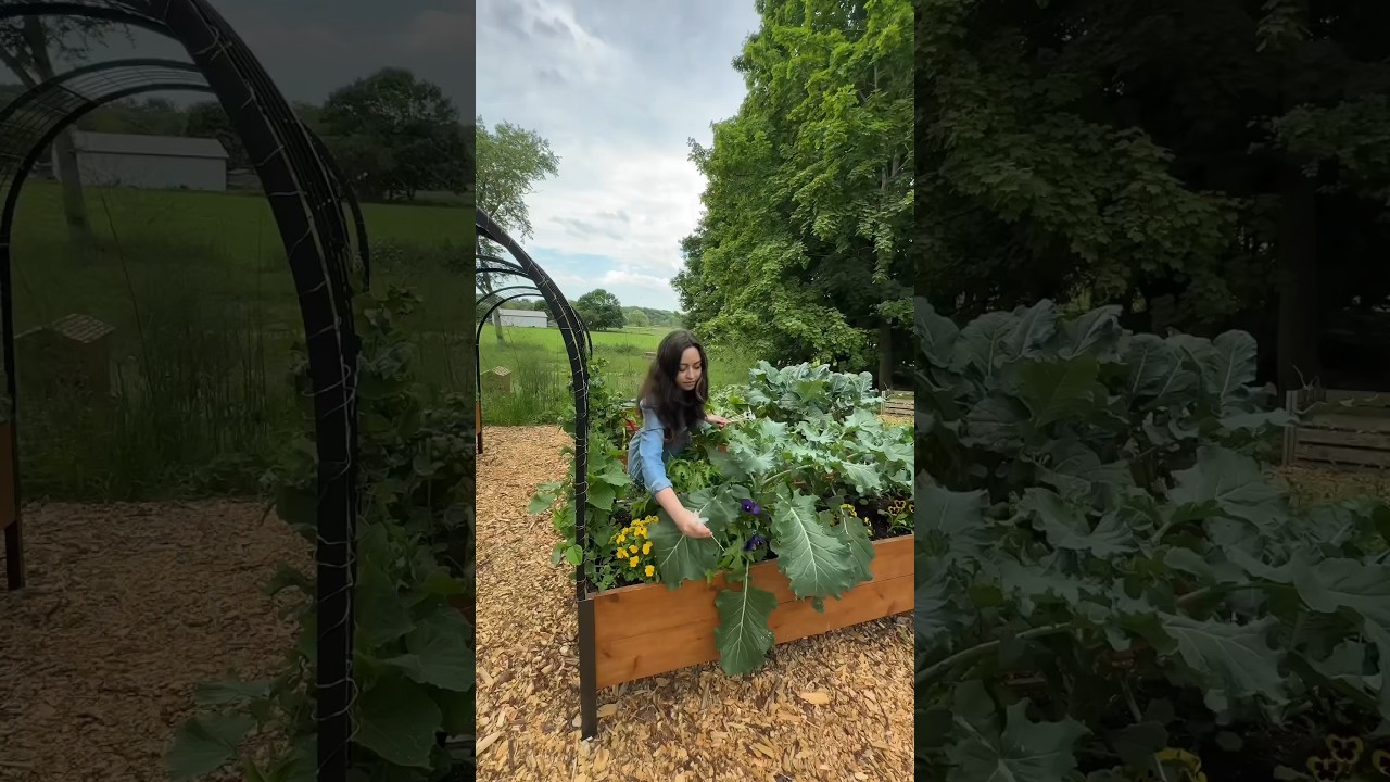 I Grow Food With Chronic Pain 🌱 