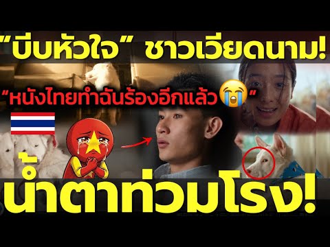 น้ำตาท่วมโรงหนังเวียดนาม! “โกฮัง” เตือนห้ามแต่งหน้าเข้าไปดู หนังไทยที่บีบหัวใจที่สุดตอนนี้! คอมเมนต์