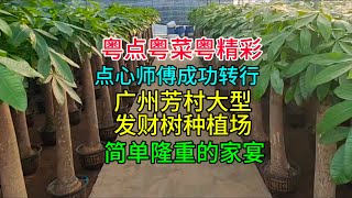 粤点粤菜粤精彩，广州芳村大型发财树种植场，点心师傅转行成功，简单而隆重的家宴，粤语中字幕2024-11-8
