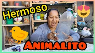 Cómo puedo hacer una maceta reciclada muy facil y rápido con botellas de plástico #macetasrecicladas