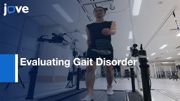 Clinical-Oriented 3D Gait Analysis Method For Evaluating Gait Disorder l Protocol Preview