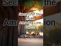 Secrets of the Pride Amazing Lion Facts!  #takethisfacts #facts #lion #pride #secret #animals