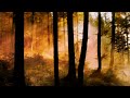Milton Nascimento, esperanza spalding - Late September (Official Audio)