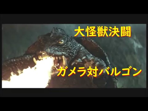大怪獣決闘ガメラ対バルゴンGamera vs. Barugon - YouTube