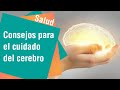 ¿Cómo mejorar el flujo de sangre en el cerebro? | Salud