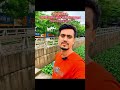 থটস অফ বিল্লাল ব্যকগ্রাউন্ড মিউজিক thought of billal background মিউজিক #viral #ভিডিও #shorts
