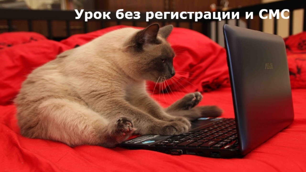 Экономическое и социальное развитие СССР в 1953-1964 гг. 10 класс ...