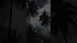 كيف تجاوزتَ تلك الأيّام الثقال، فقال :رتّلت القرآن، رتلته كثيرًا، اللهم اجعل القرآن جلاءً لأحزاننا.