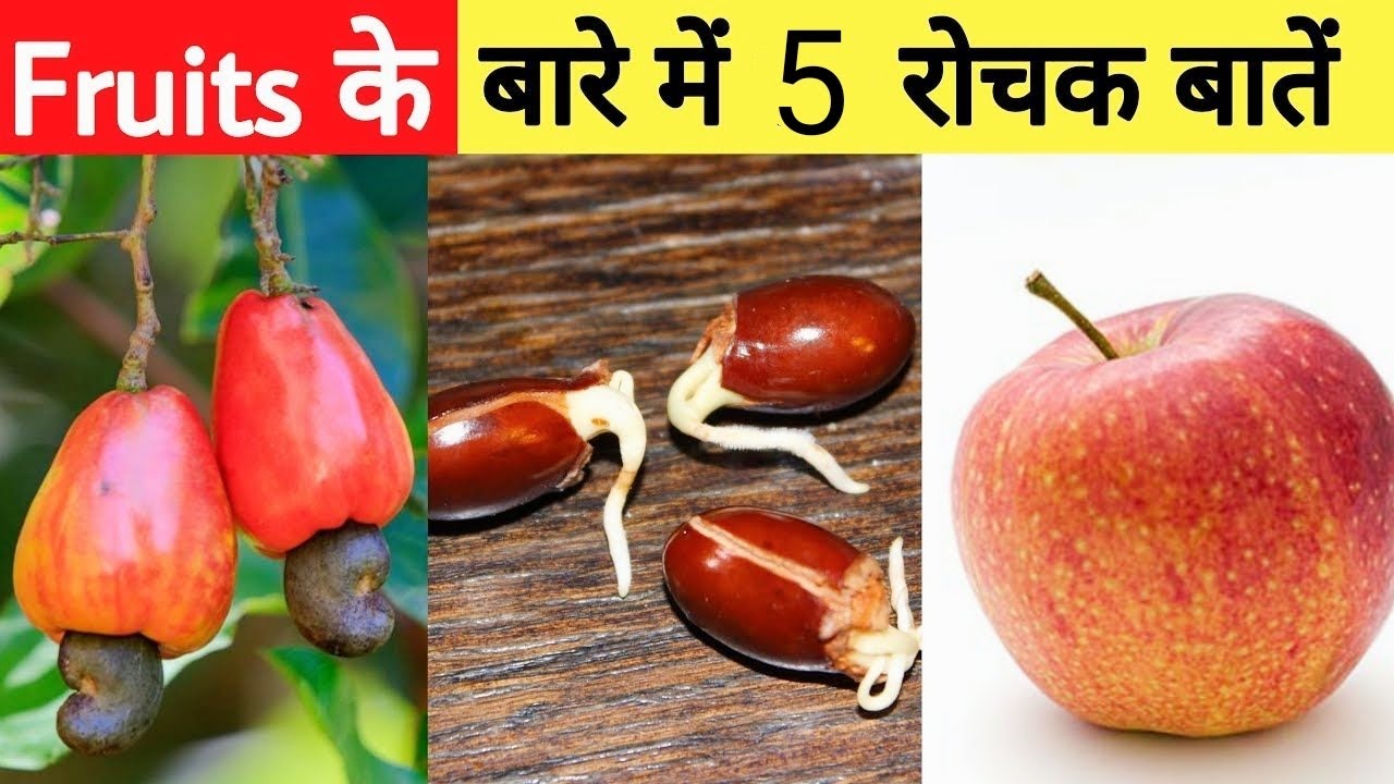 Top five amazing facts about fruits||#shorts #facts