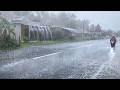 CAN YOU HANDLE THIS STORM? 🌧️Wild Rain & Powerful Winds in Rural Indonesia | Deep Sleep & Relaxation