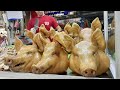 Amazing pig head cutting skills stewed pig ear soup  thai street food
