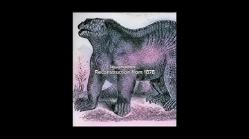 The most inaccurate old dinosaur reconstructions #prehistoric #dinosaur #paleontology