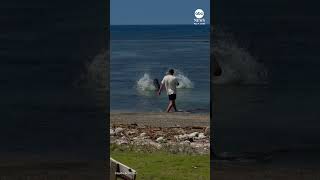 Tourist charged with harassing endangered Hawaiian monk seal