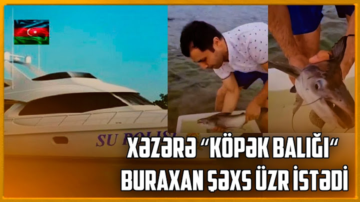 Xəzərə “köpək balığı“ buraxan şəxs üzr istədi