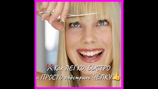 видео: Как подстричь ЧЁЛКУ  . Самый ЛЁГКИЙ ,БЫСТРЫЙ и ПРОСТОЙ способ. картинка: Как подстричь ЧЁЛКУ  . Самый ЛЁГКИЙ ,БЫСТРЫЙ и ПРОСТОЙ способ.