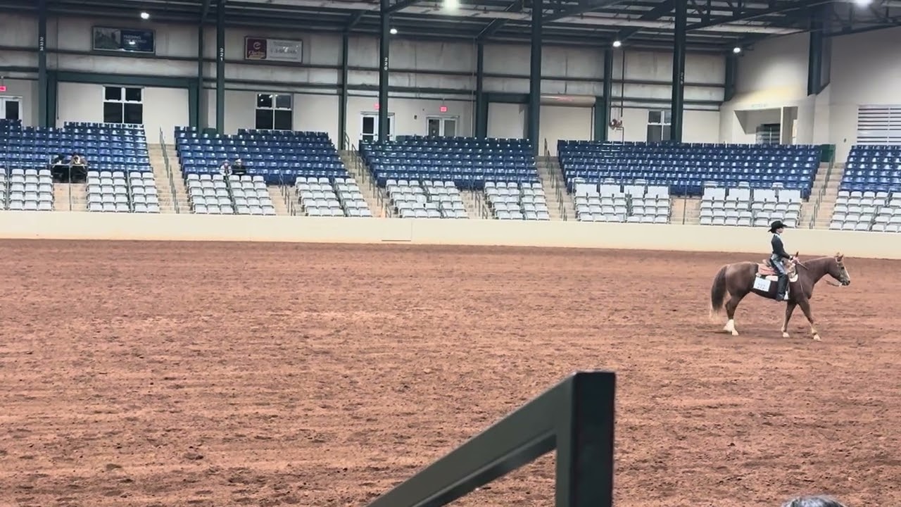 Kaleigh at IEA regionals in 2023 in the Future Novice Horsemanship