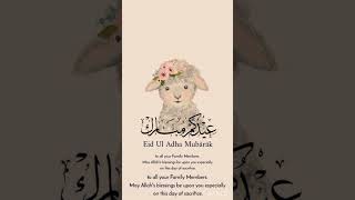 # 2026 aesthetic eid ul adha wishes # shorts # islam world # tender # @ deen reminder