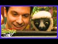 Zoboomafoo - ¡Corriendo como animales! | TV Niños | WildBrain Casa de Juegos