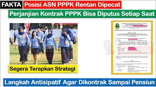 Cek FAKTA Posisi ASN PPPK Rentan Dipecat ~ Cara Agar Perjanjian Kontrak PPPK Bisa Sampai Pensiun