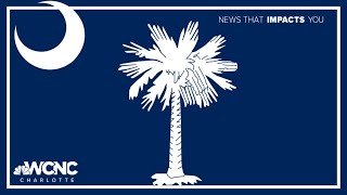 Head of SC election agency fired