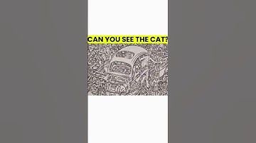Optical Illusion IQ Test: If You Can Spot The Cat In 5 Seconds, #trending #motivation #viralvideo