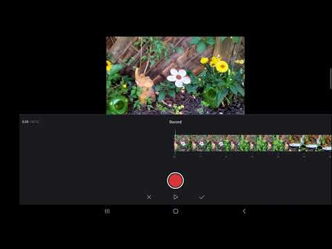 Kostenloser Videoschnitt mit