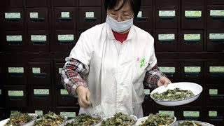 The Point: How can Traditional Chinese Medicine work in the West?