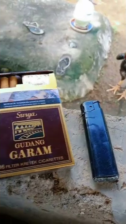 estetik ternak sapi story wa