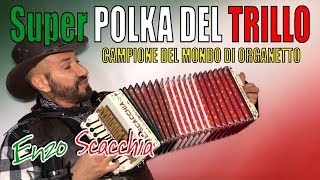 Super POLKA DEL TRILLO (dal vivo ENZO SCACCHIA campione del mondo di organetto)