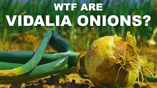 Why are sweet onions sweet? Can you really eat Vidalia onions like apples?