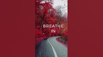 🔴 Stop scrolling, it