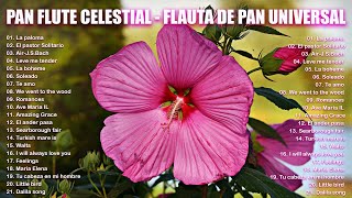 PAN FLUTE CELESTIAL - FLAUTA DE PAN UNIVERSAL - PAN PIPES INSTRUMENTA