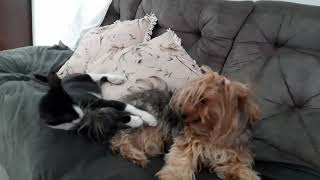 7 De Outubro De 2020