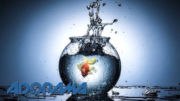 Splash Photography: Take and Make Great Photography with Gavin Hoey