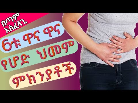 6ቱ ዋና ዋና የሆድ ህመም ምክንያቶች / what causes abdominal pain stomach Ache.