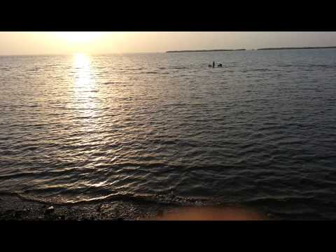 شاطئ المظيلف