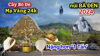 Độc Đáo: Cây Bồ Đề "mạ vàng 24k" siêu đẹp và giá trị trên đỉnh núi Bà Đen - Những điểm mới nhất 2024