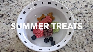 SUMMER TREATS | MILO THE SHEEPADOODLE by Milo the Sheepadoodle 120 views 10 months ago 3 minutes, 3 seconds