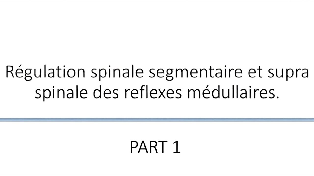 LA RÉGULATION SPINALE SEGMENTAIRE DES RÉFLEXES MÉDULLAIRES