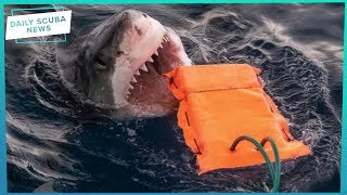 Daily Scuba News - Shark Proof Wetsuits Are Coming