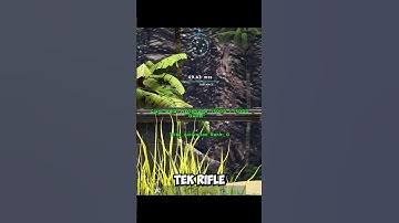 Ark Tips #23 (Stegos/Tek Rifles)