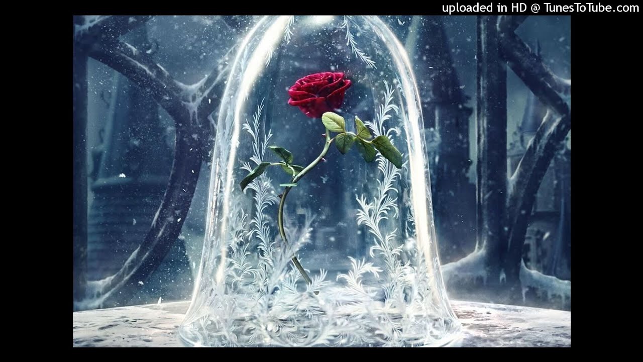 Until the last petal falls-(InstruMentalDude)