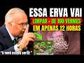 Ref:M2HmdeDo-Fw Adeus vermes! fa�a isso para se livrar de vermes e parasitas naturalmente | dr lair ribeiro