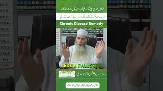 مچھر کے سم سے بچیں | Ledum Palustre کے ساتھ #NaturalProtection
