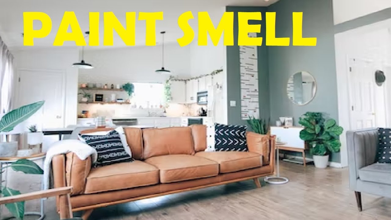 how to get rid of paint smell in house easy YouTube