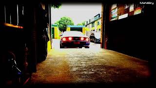 PAARD MUSTANG WEER OP STAL 31-05-2026 P'CITY