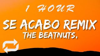 The Beatnuts - Se Acabo Remix (Lyrics) ft Method Man | 1 HOUR