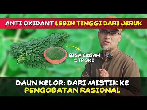 Moringa Daun Apa