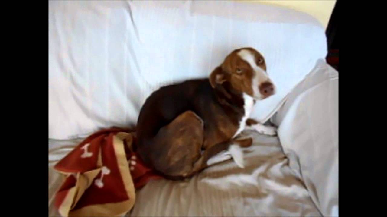 Broken Pillows YouTube