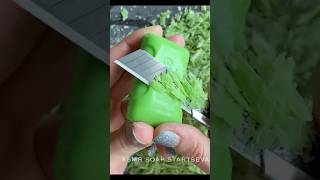 Cutting mini dry soap ASMR! #oddlysatisfying #satisfying #asmr